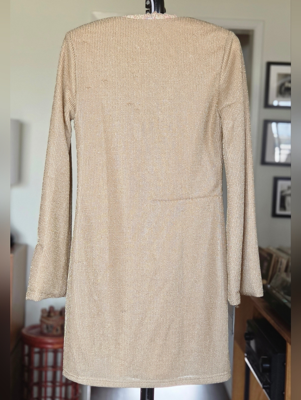 Metallic Knit Mini Dress with Decorative Shell Clasp - Picture 3 of 7